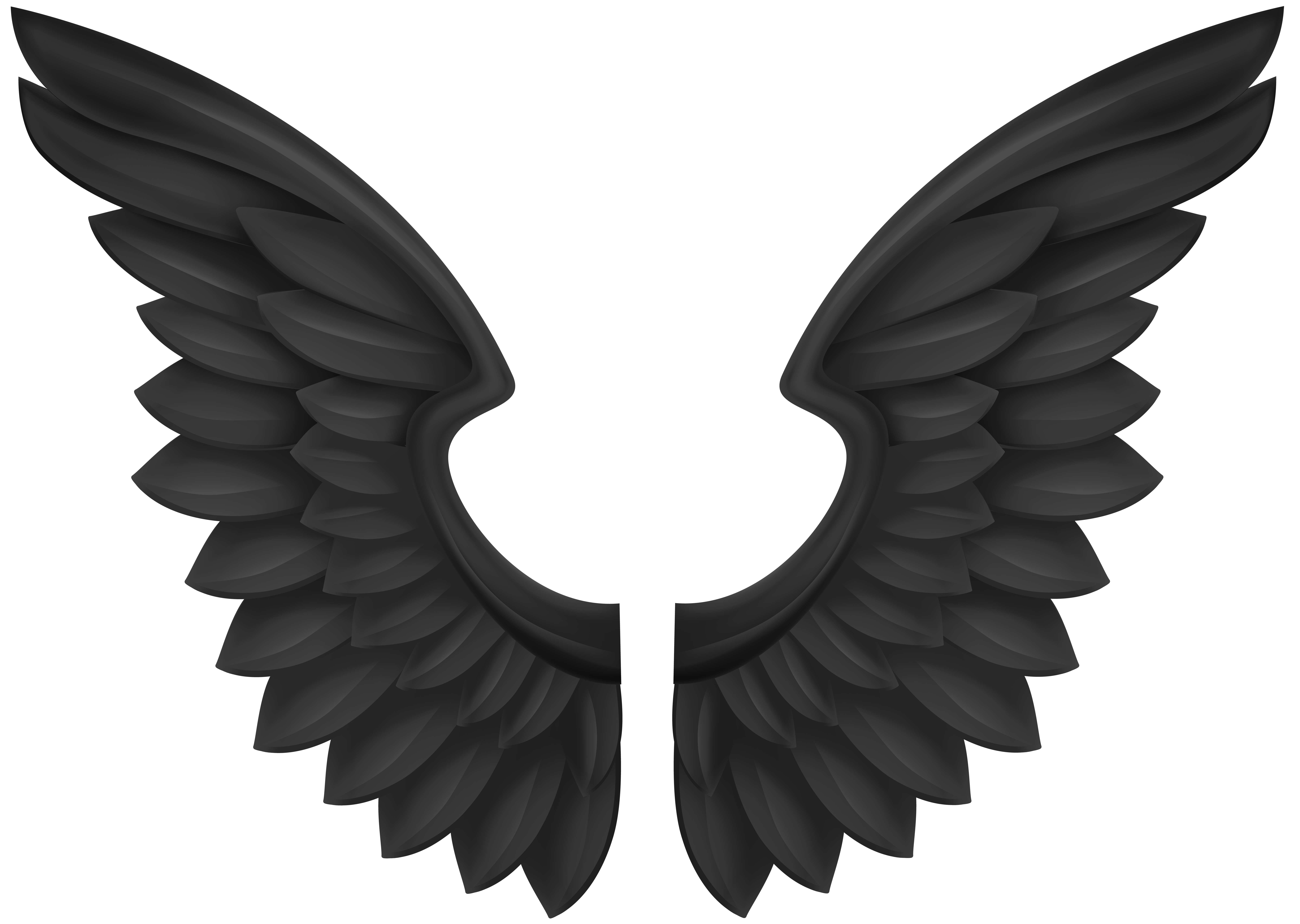 Black Wings Transparent PNG Image
