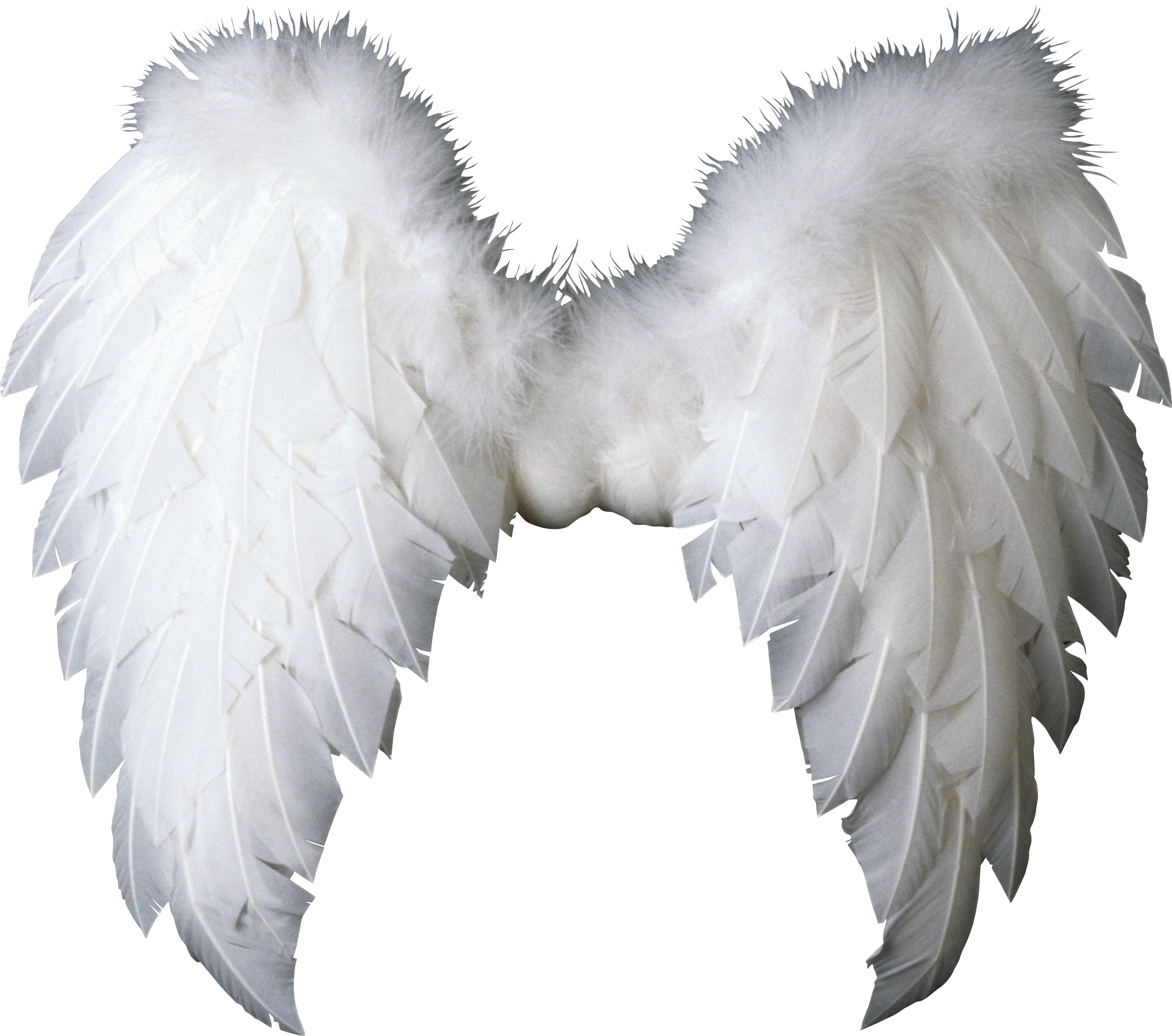 Картинки для фотошопа. Крылья ангела. Ангел с крыльями. Ангельские Крылья на прозрачном фоне. Крылья ангела на прозрачном фоне.