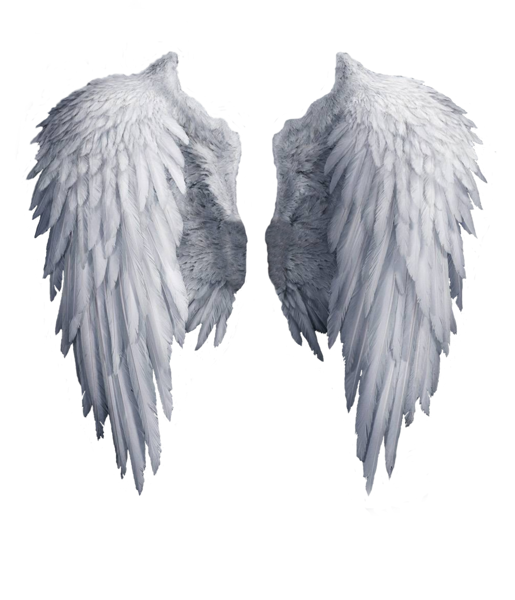 Download White angel wings PNG