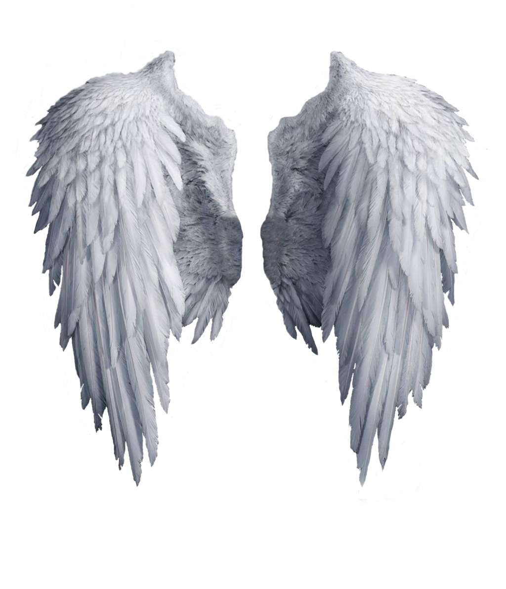 White angel wings PNG transparent image download, size: 1024x1192px