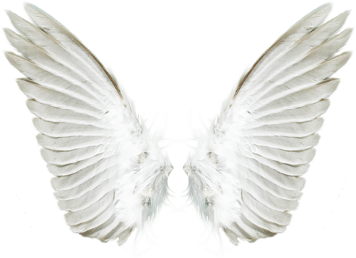 Белые крылья PNG