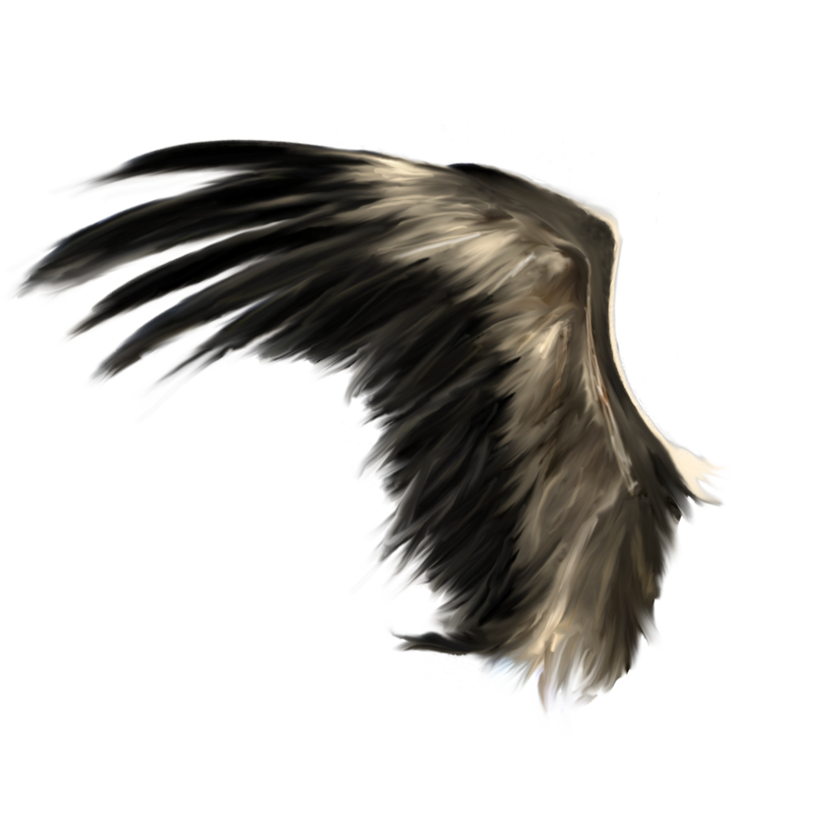 White angel wings PNG transparent image download, size: 1024x1192px