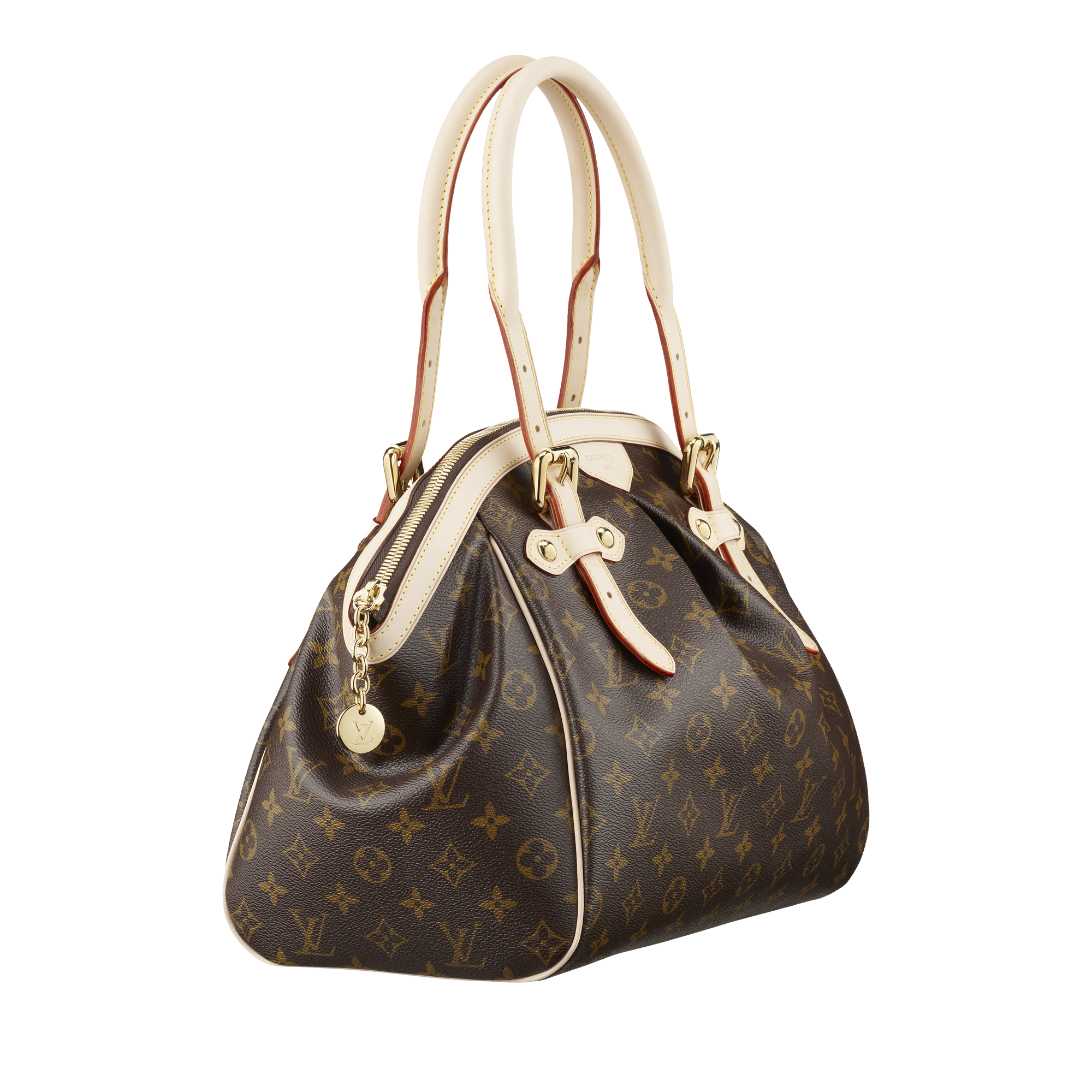 Louis Vuitton Women bag PNG image