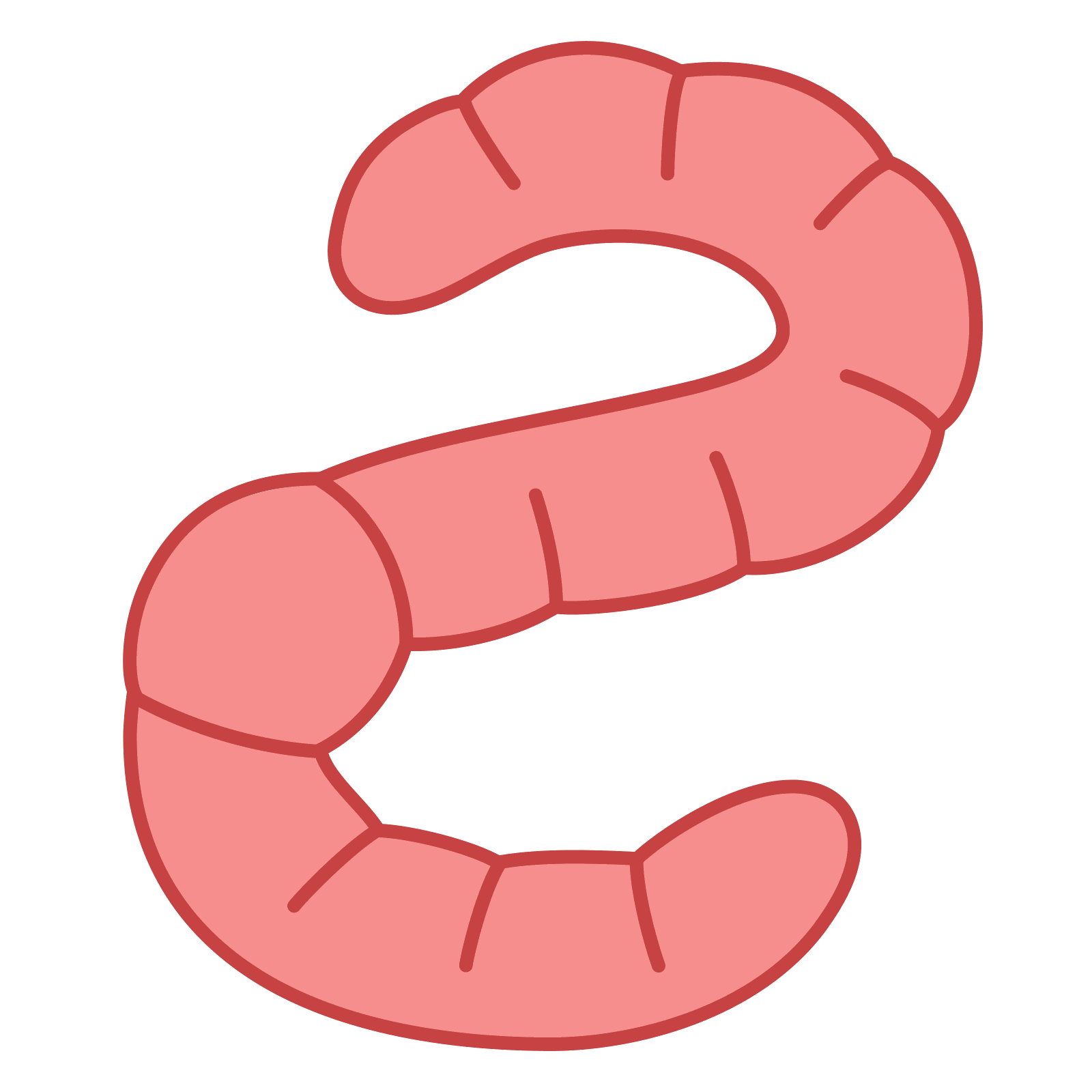Worms PNG image free Download 
