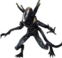 Xenomorph PNG