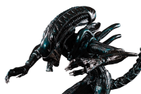 Xenomorph PNG