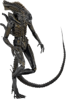 Xenomorph PNG transparent