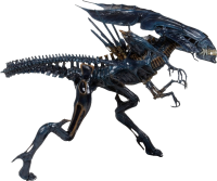 Xenomorph PNG