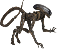 Xenomorph PNG