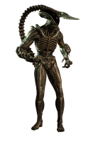 Xenomorph PNG