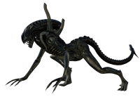 Xenomorph PNG