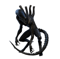 Xenomorph PNG