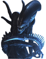 Xenomorph PNG picture