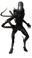 Xenomorph PNG