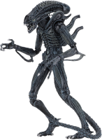 Xenomorph PNG