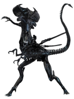 Xenomorph PNG image