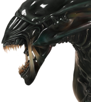 Xenomorph PNG head