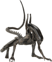 Xenomorph PNG