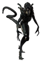 Xenomorph PNG