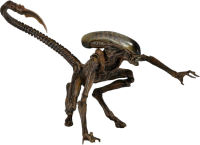 Xenomorph PNG