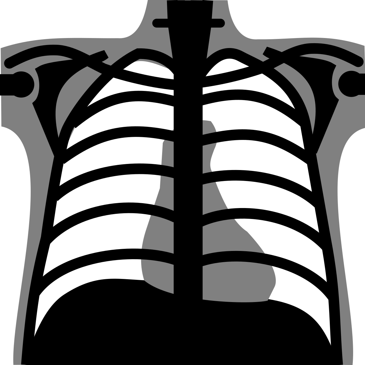 X rays PNG