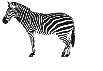 Zebra PNG images Download