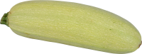 Zucchini PNG image transparent