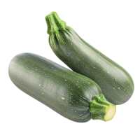 two Zucchinis PNG transparent background