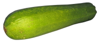 Zucchini PNG transparent